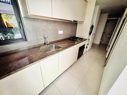 Kopar At Newton (D9), Apartment #521382241